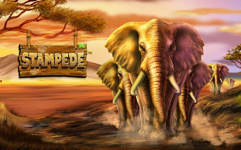 Explorez la passionnante machine à sous Stampede au Win Unique Casino.